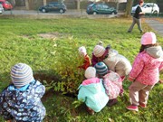 Výsadba u MŠ 2015 - sponzorováno firmou PAJR s.r.o.Vlkava